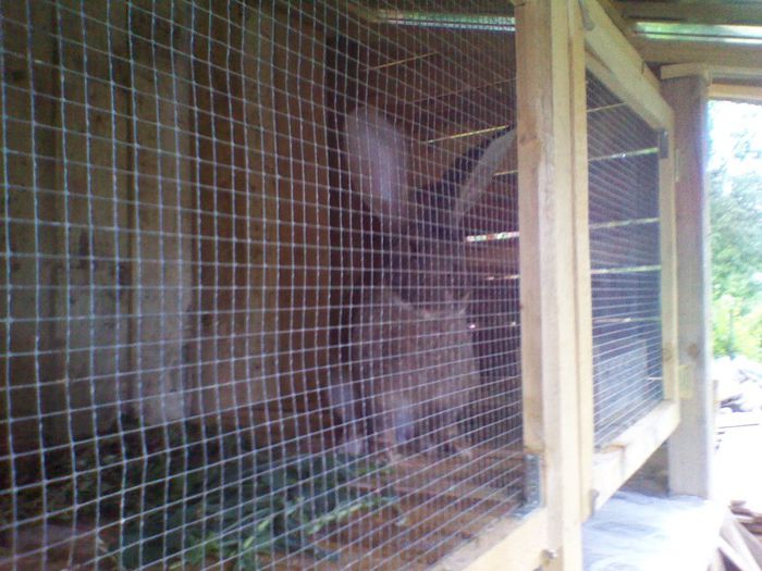 mascul; urias german la 5,5 luni
