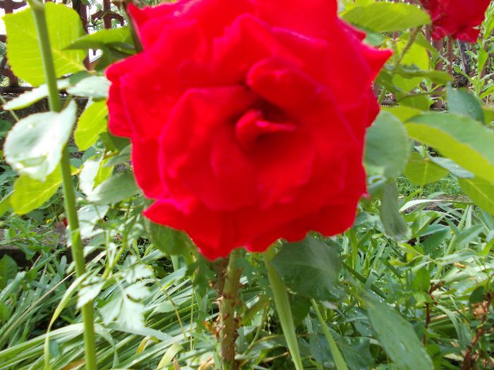 DSCN0463
