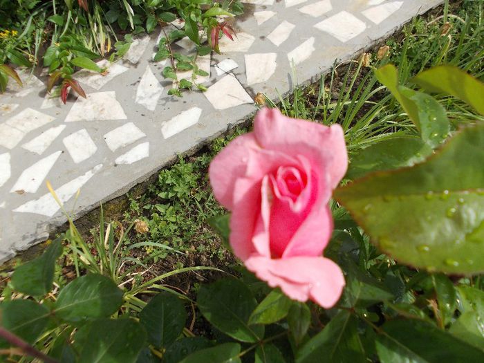 DSCN0465