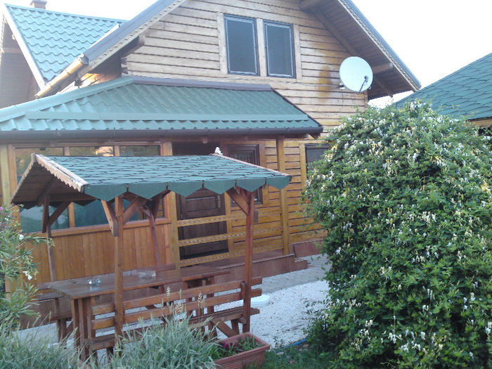 009 - Pozele anului 2013