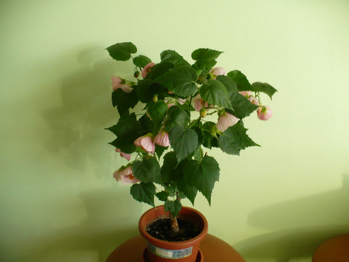P1440433