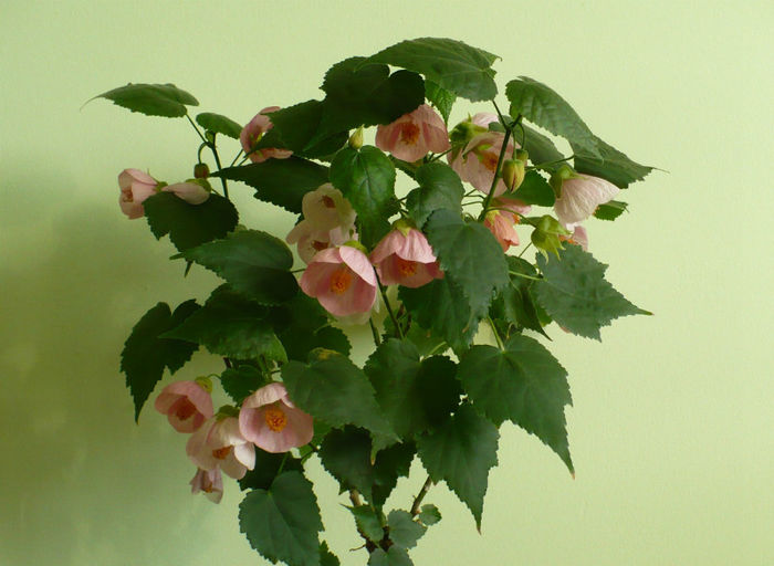 P1440436
