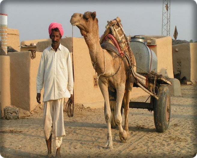 ● The most common mode of transport in Rajasthan - x - Mijloace de transport