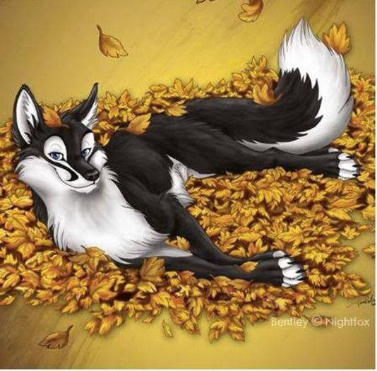 480441_261150074028781_52735466_n - x00-Buna