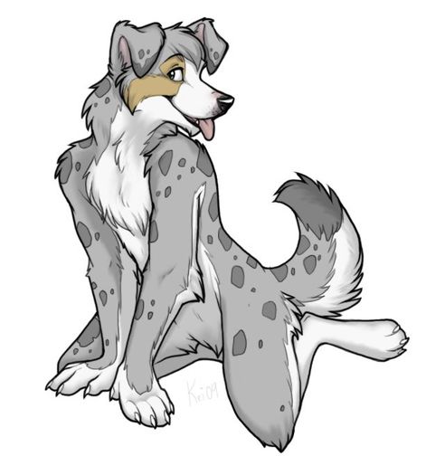 1251448930_keihound_collie - x00-Buna
