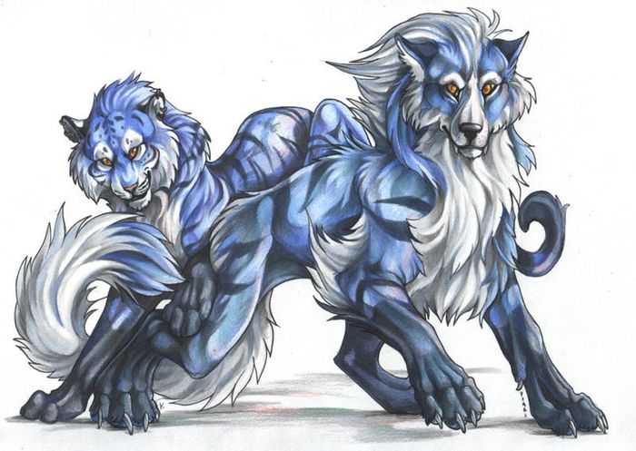 Anime-Animals-anime-animal-7099257-800-569 - x00-Buna