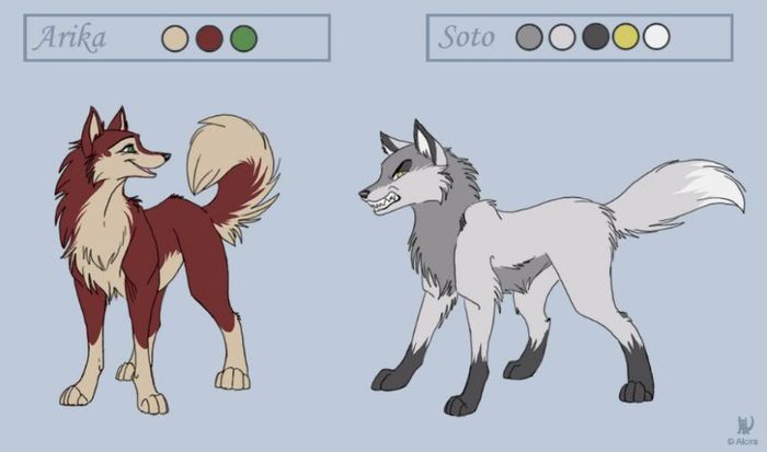 Arika_and_Soto_Char_Sheets_by_Alcir - x00-Buna