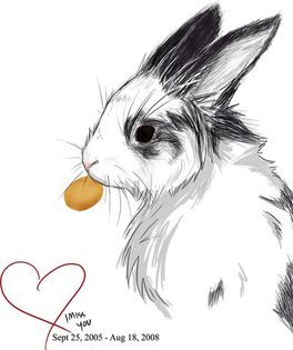 For_Spot_by_AnimeWolf94 - x00-Buna