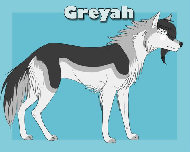 greyah_reference_sheet_by_wolfsbane_drawer-d4jcki7