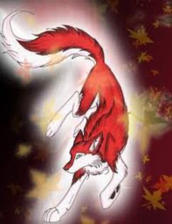 images2 - x00-Buna