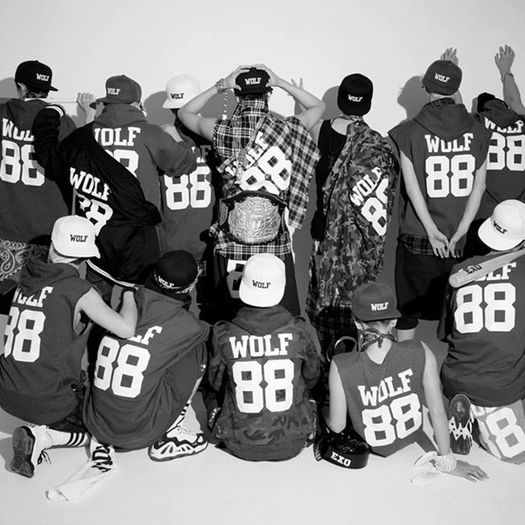 ♥ EXO ♥