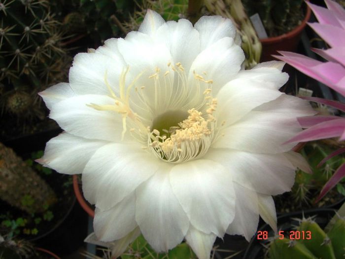 DSC01109