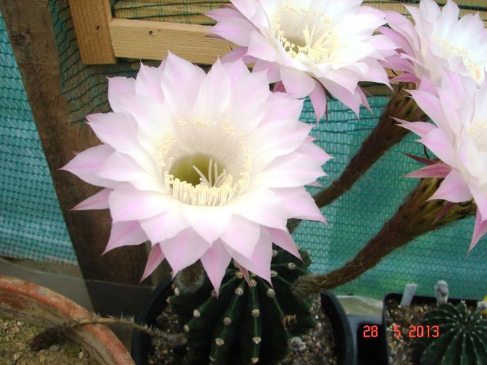 DSC01112