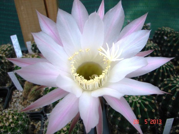 DSC01114