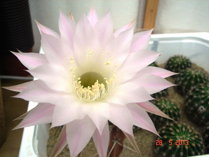 DSC01117