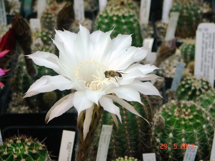 DSC01146