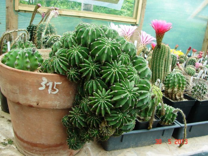 DSC01172