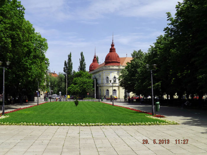 DSCF0477 - 2013 Oradea panorama din turn