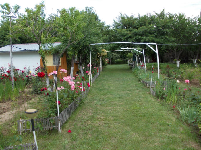 Picture 262 - mai 2013   ll