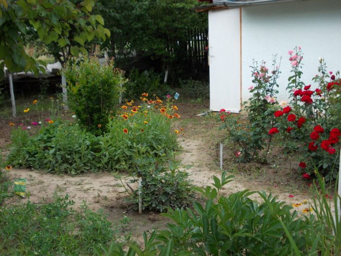 Picture 264 - mai 2013   ll