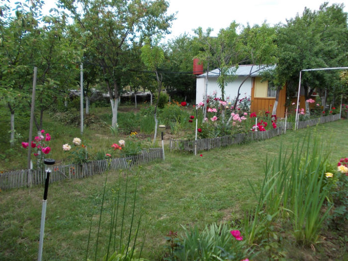 Picture 266 - mai 2013   ll