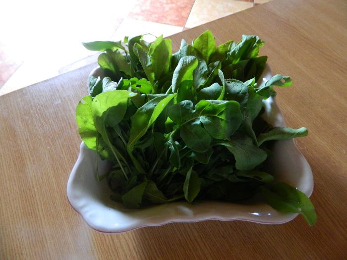 Rucola gata sa fie facuta salata