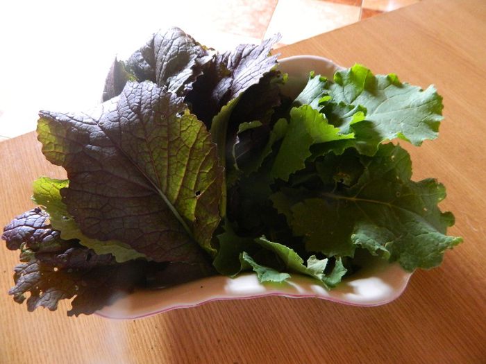 Kale si mustard red in aceeasi salata - De vara