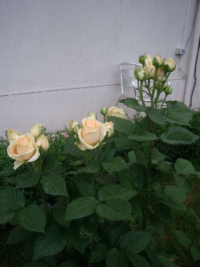 IMGP4578