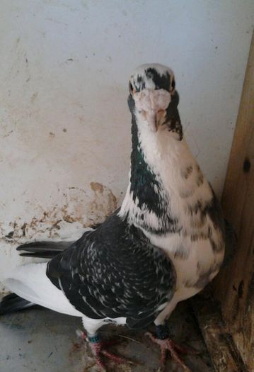 2013-06-01 18.51.17-1