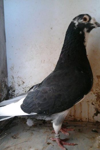 2013-06-01 18.54.13-1