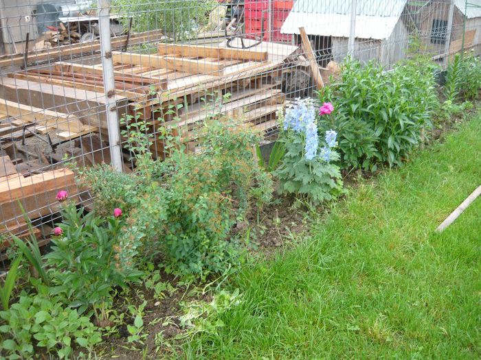 Picture 2867 - Mirajul verii