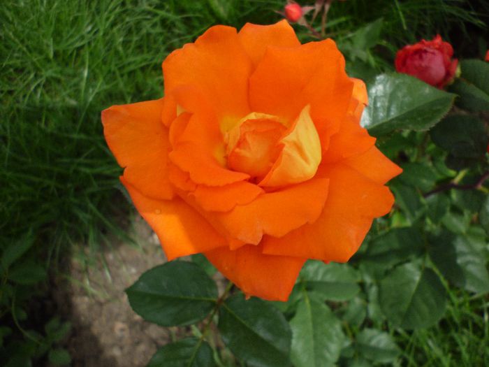 P1010961