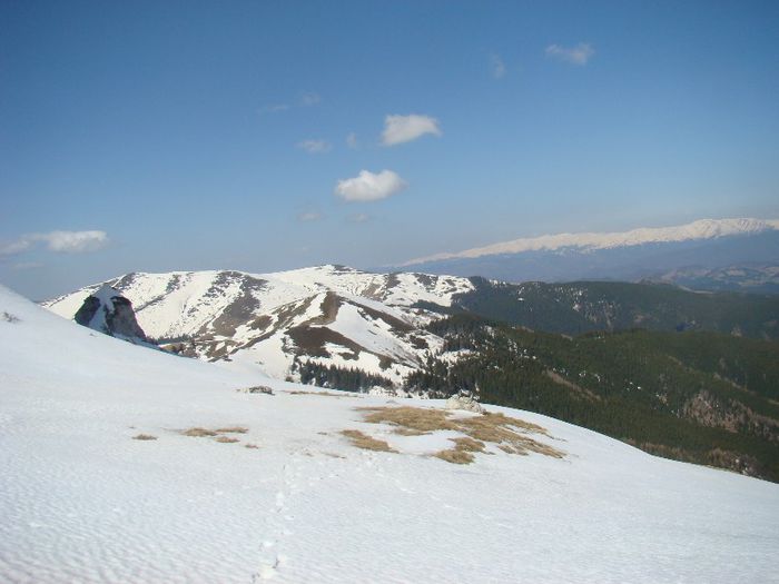 DSC00239