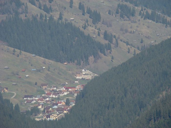 DSC00243