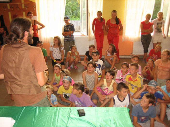 pentru voi (82)