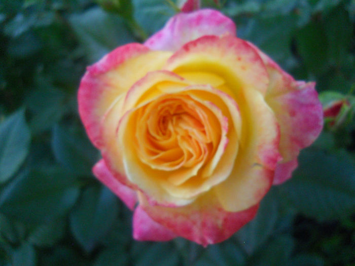 088