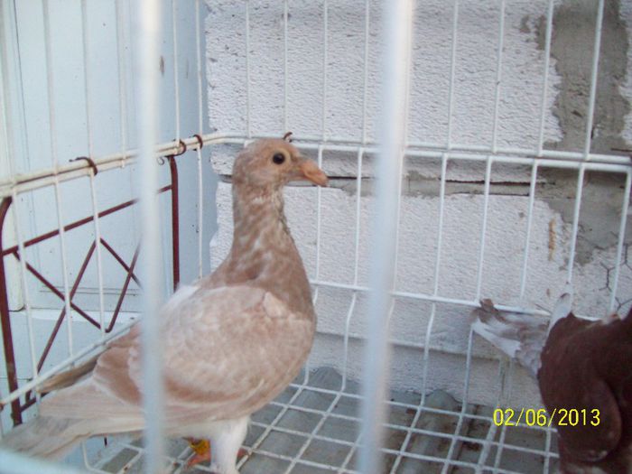 100_7778 - PUI 2013