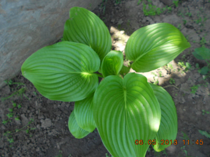 DSCN7547