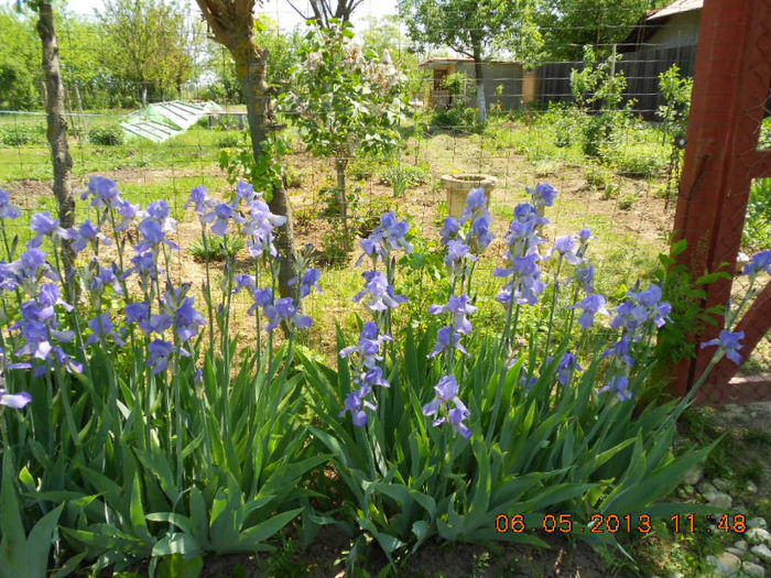DSCN7557