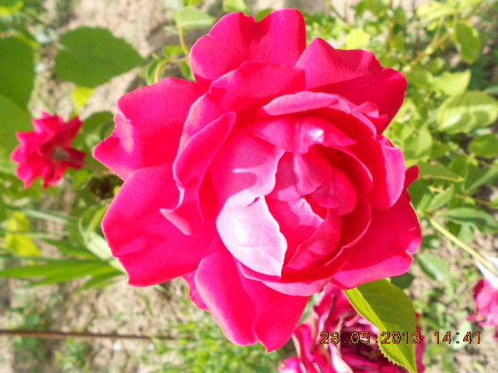 DSCN8138