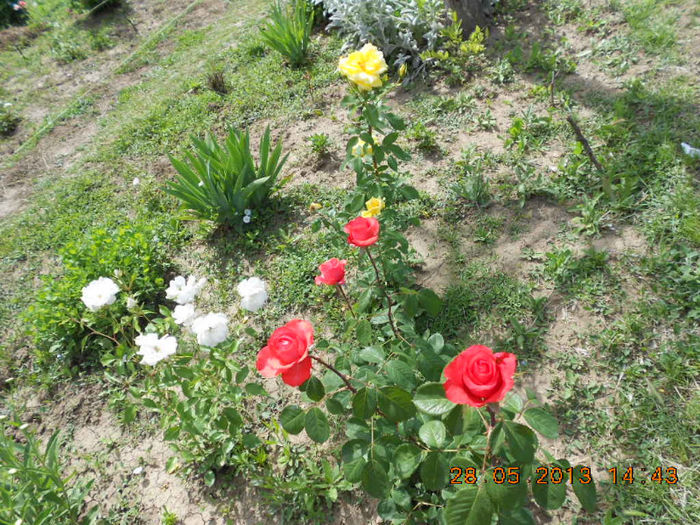 DSCN8147