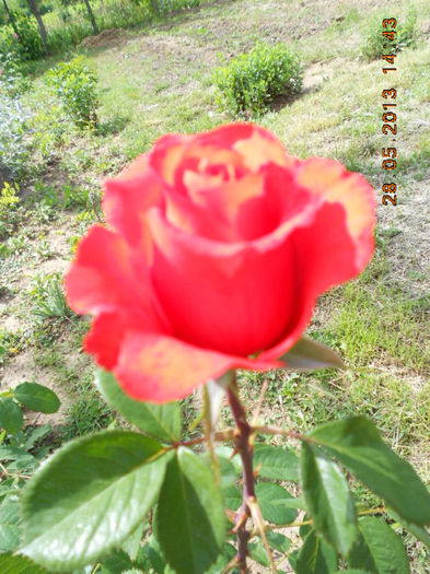 DSCN8148