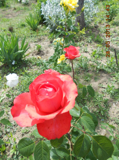 DSCN8149
