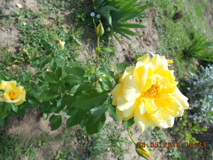 DSCN8150