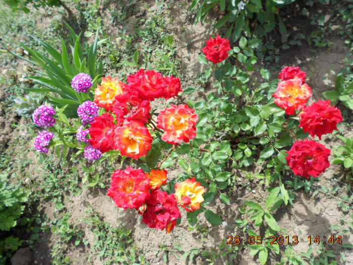 DSCN8151