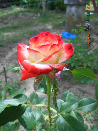 DSCN8152