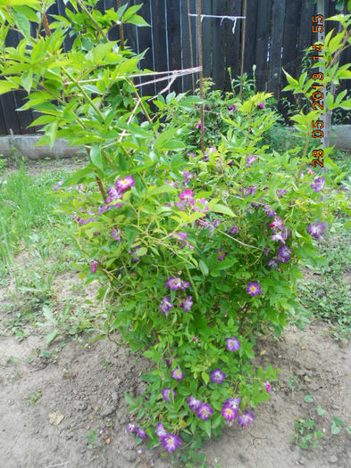 DSCN8157