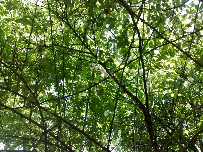 sub Bobby J - Bobby James