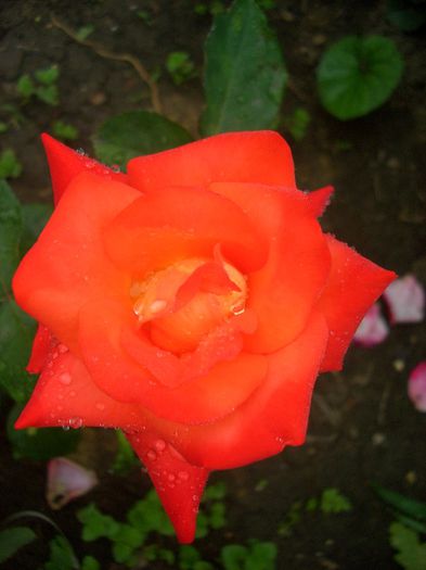 CIMG7859