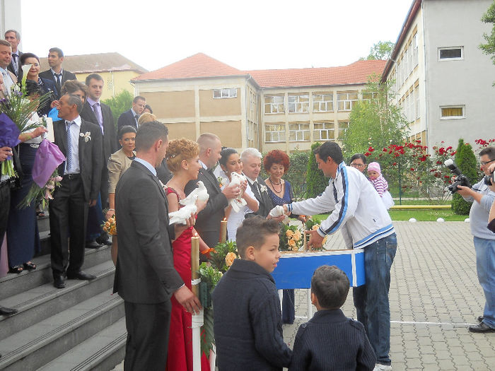 nunta 1 iunie 2013 - Porumbei albi pentru nunti